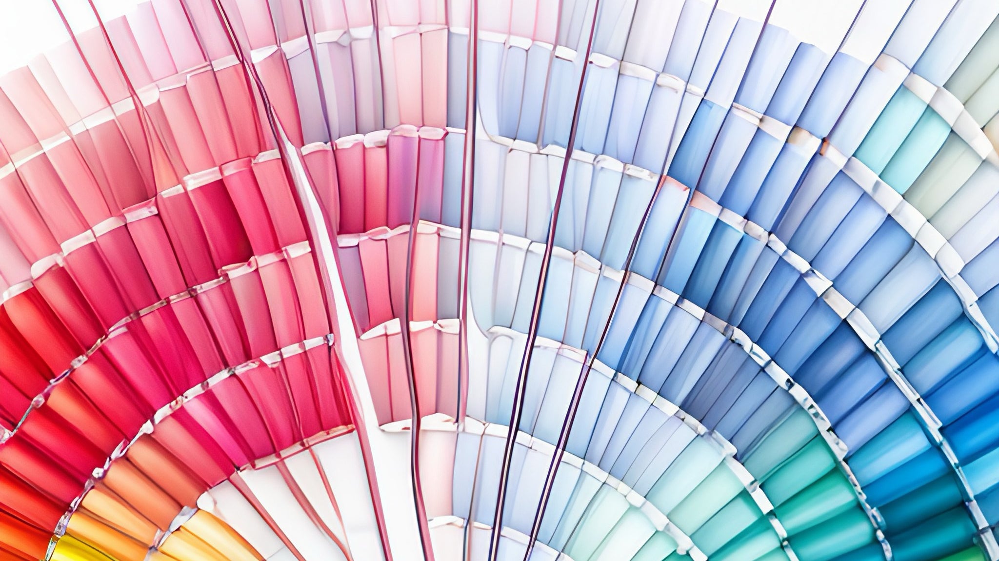 LONOCO Stories | Unveil Your Spring Color Palette Identity
